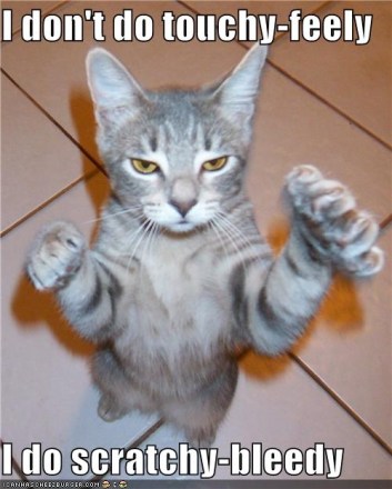 tumblr_me3or4dk2x1rlpicfo1_500